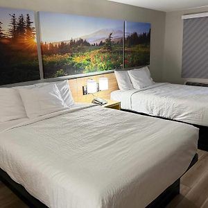 Double Room Two Double Beds Roll Shower Mobility or Hearing Accessible Non-Smoking